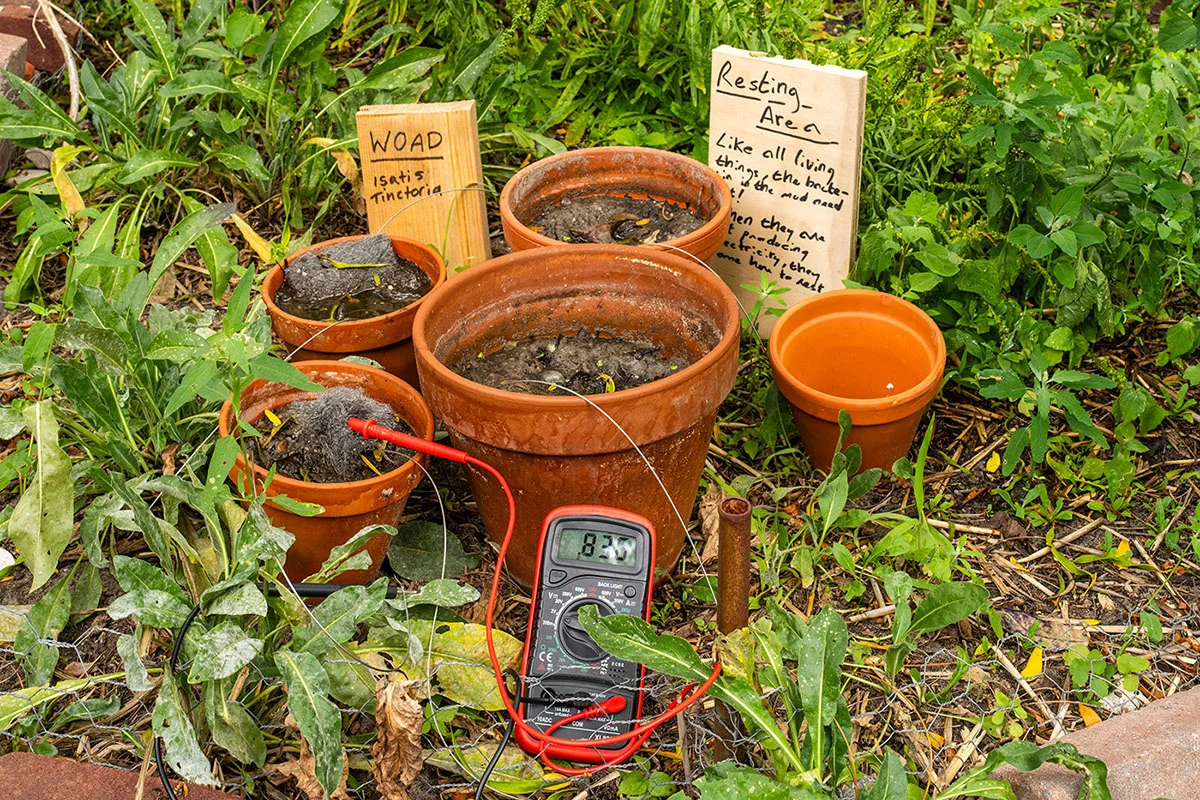 Mud cells in resting area, plugged to a multimeter reading 0.8V 
