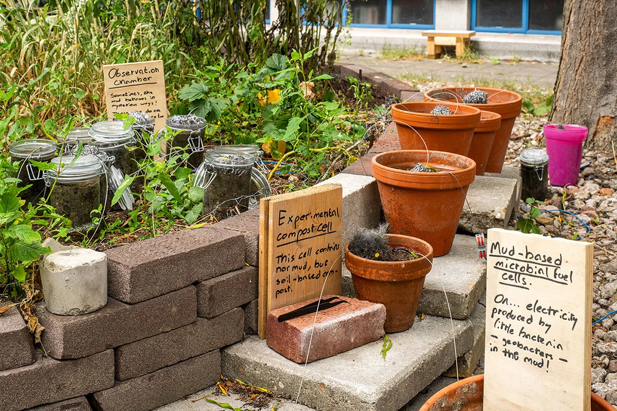 Medium close-up view of the mud cells, in vases and mason jars, organised in various clusters. 